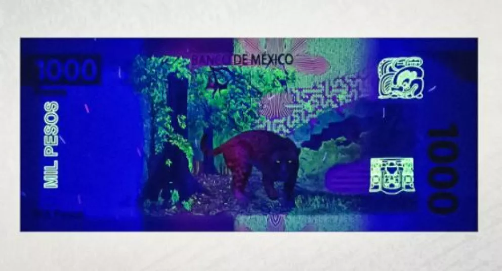 10 curiosidades sobre el nuevo billete de 1000 en México