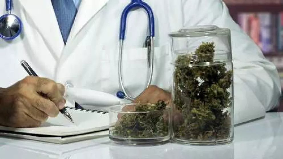 La marihuana medicinal beneficiará a farmacias independientes