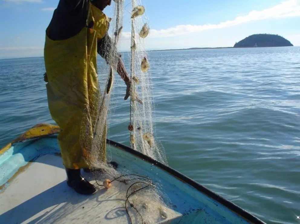 Impulsan pesca eficiente y amigable con el ambiente en Sinaloa