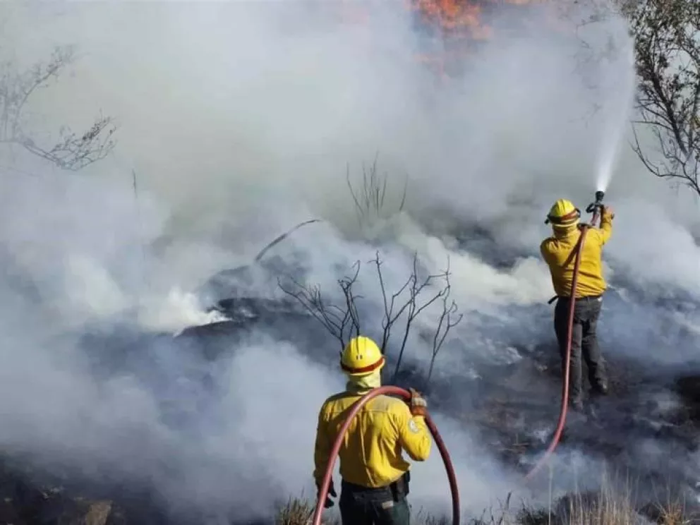 Temporada de incendios forestales en México y Sinaloa
