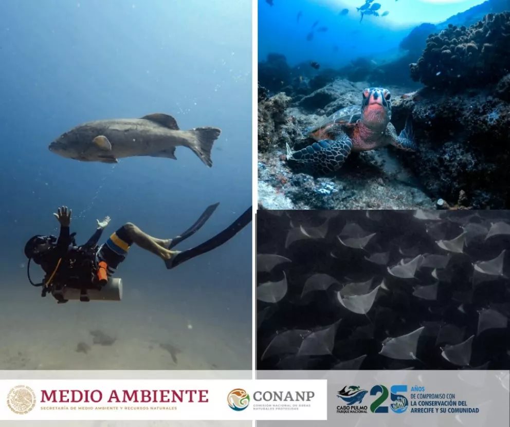 Día Mundial del Turismo; conoce Cabo Pulmo, un paraíso natural de México.