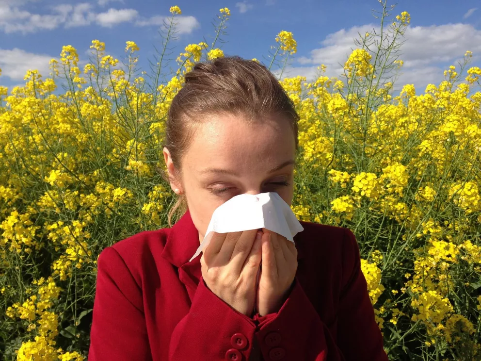 Alergias estacionales: ¿Qué son y cómo combatirlas?