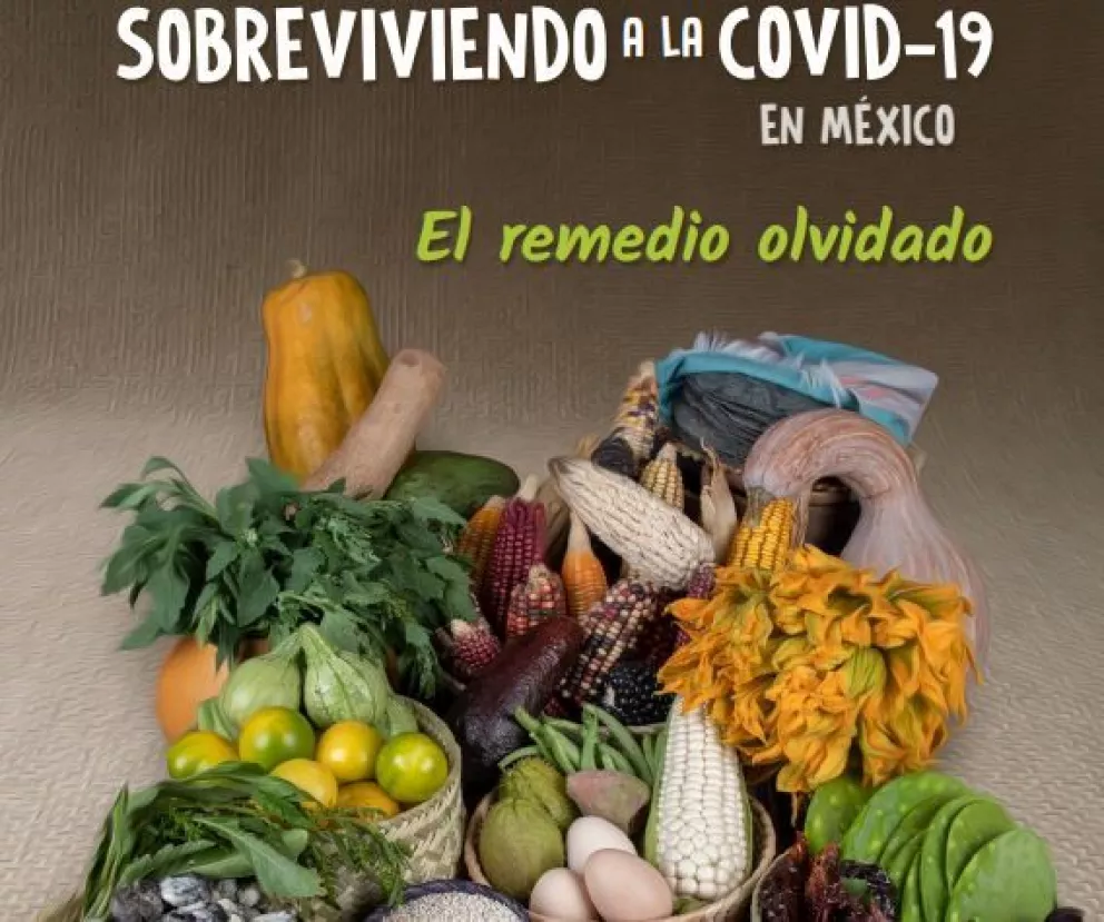 Guía nutricional mexicana para combatir la Covid-19