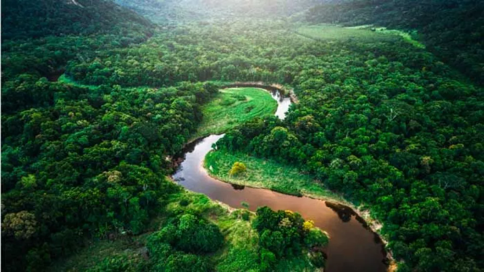 La importancia del Amazonas, un pulmón del planeta