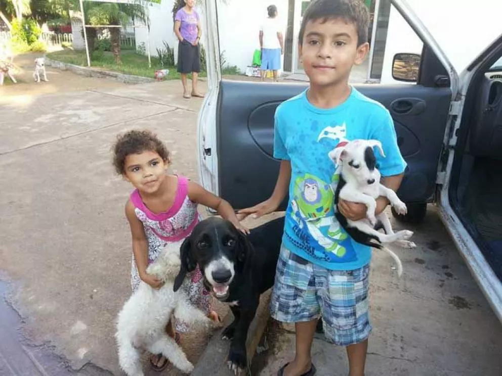 Buscan apoyo para ayudar a mascotas de Villa Juárez