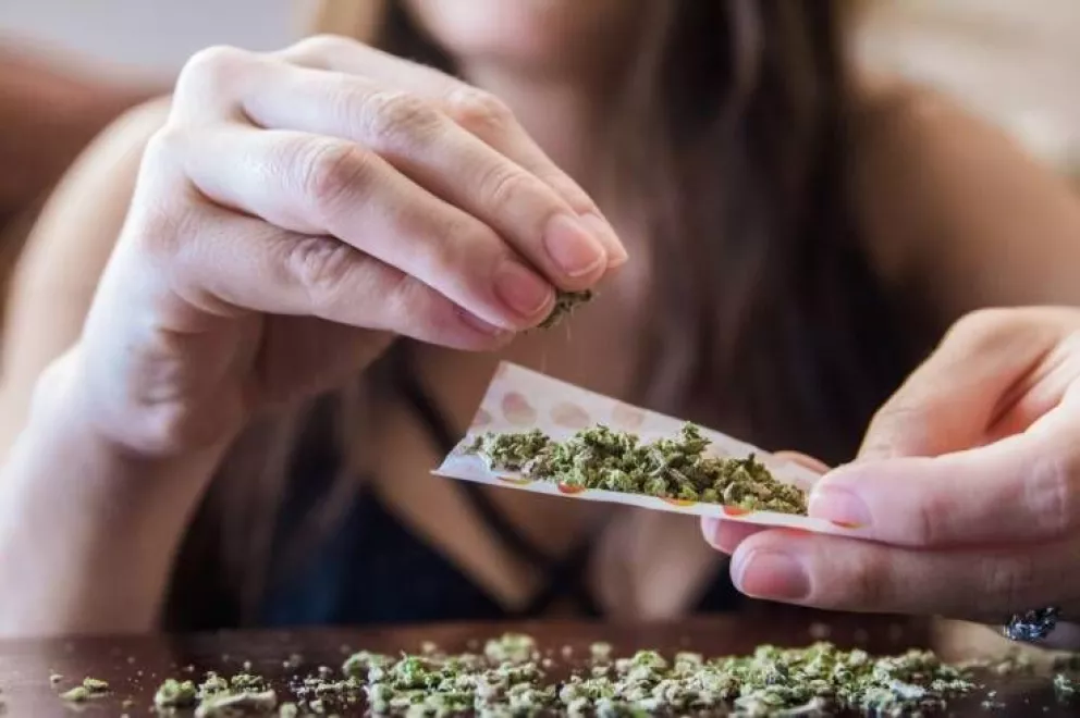 Conoce los beneficios y riesgos de la legalización del Cannabis