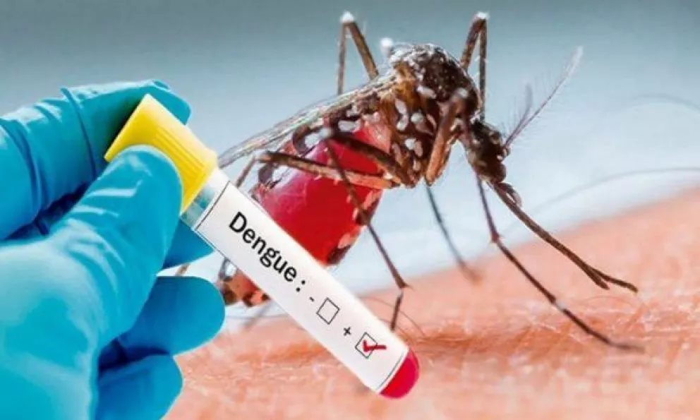 ¡Que el dengue no dañe a tu familia!
