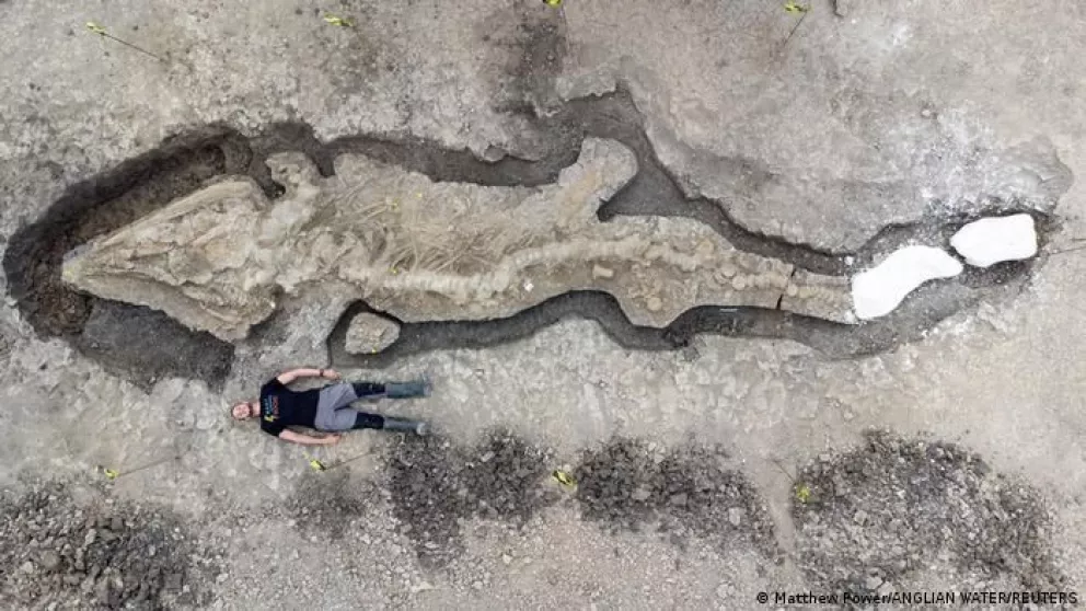 El gigante ictiosaurio descubierto en Inglaterra también existió en México
