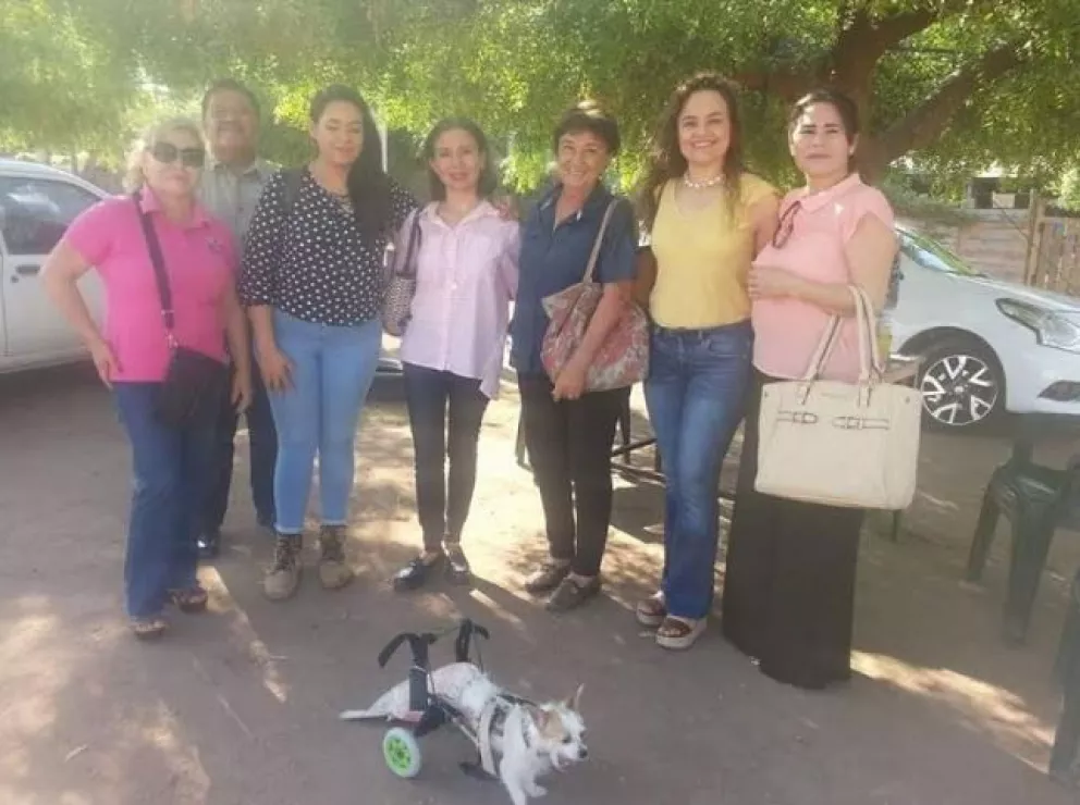 Imparten cursos de Flora y Fauna en Secundaria Nueva Creación de Villa Juárez