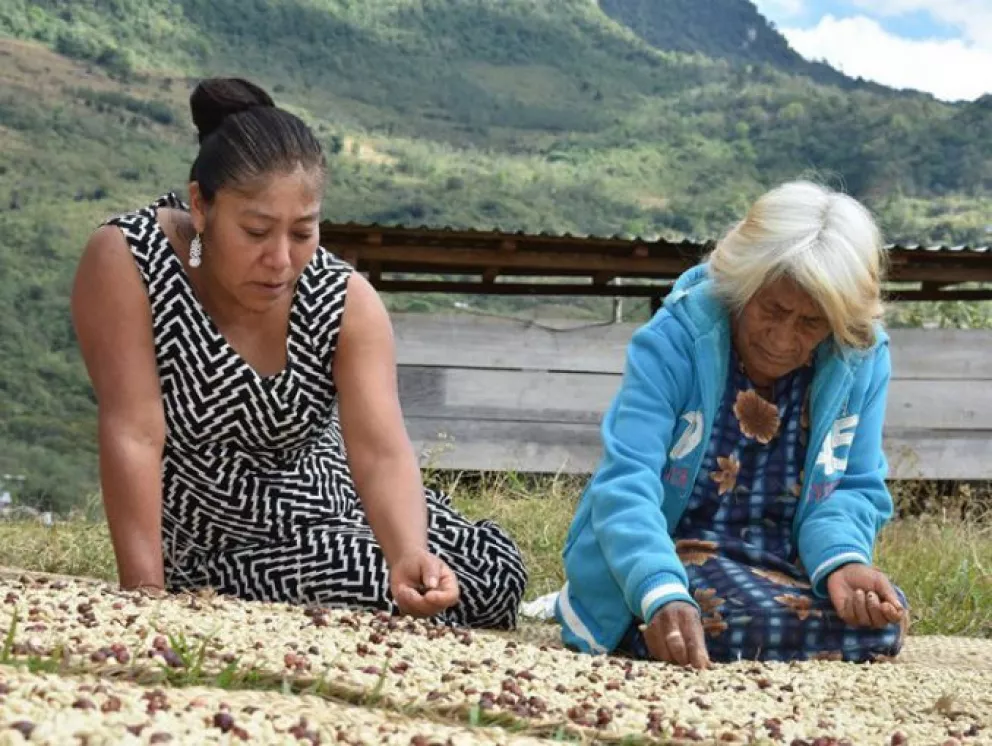 Mujer zapoteca gana concurso de fotografía FAO