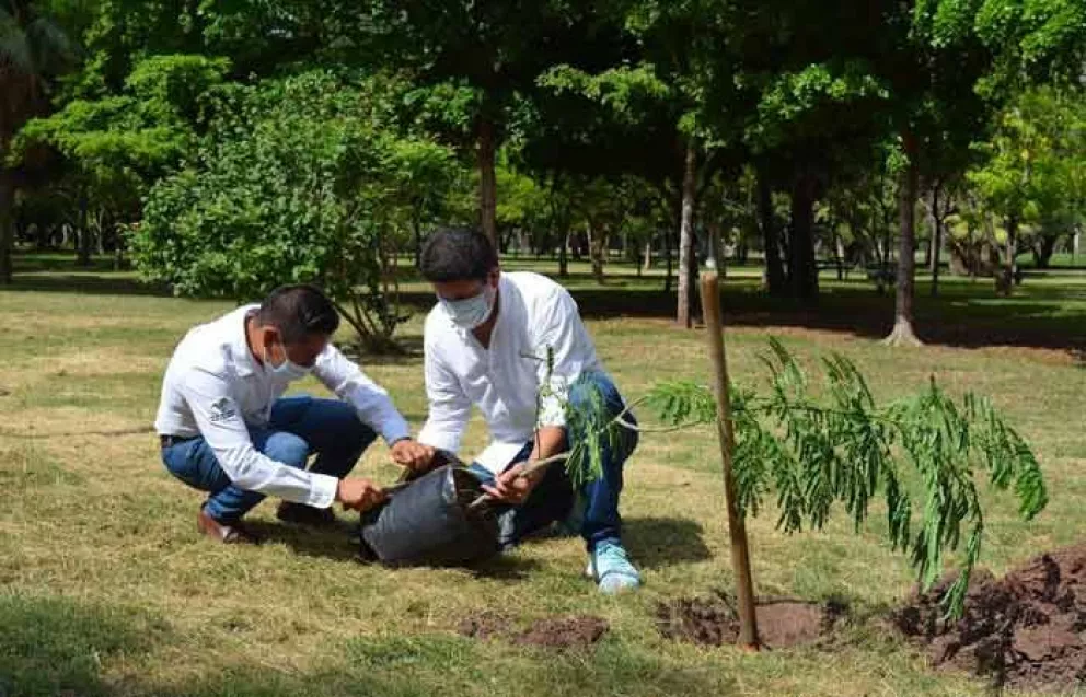 Entrega SEDESU 3 mil plantas regionales a Jardín Botánico de Los Mochis