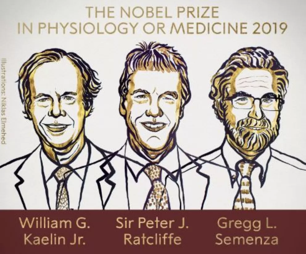 Estos son los 3 ganadores del Premio Nobel de Medicina 2019