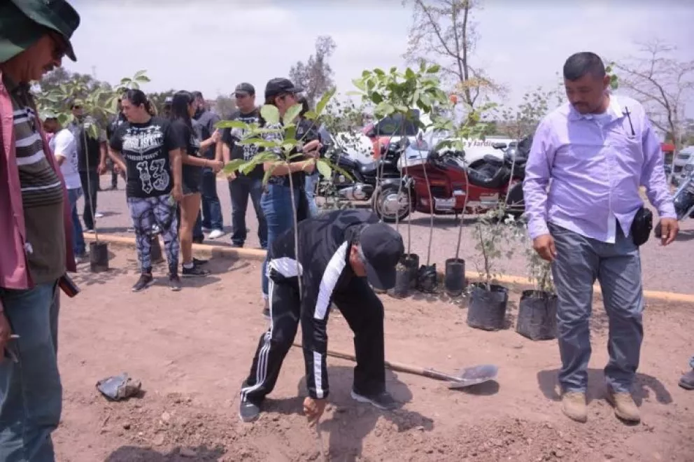 Motociclistas de Culiacán plantan árboles en parque 87