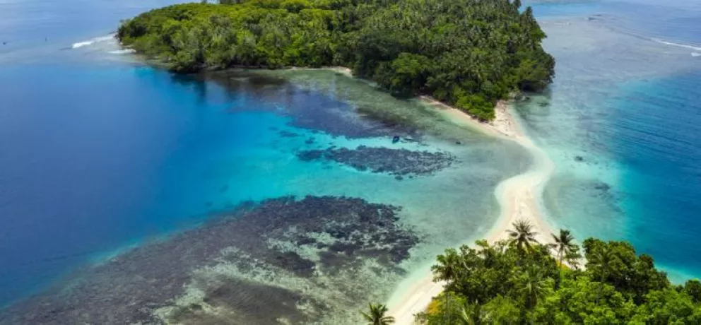 Esta es la isla con mayor biodiversidad en la Tierra