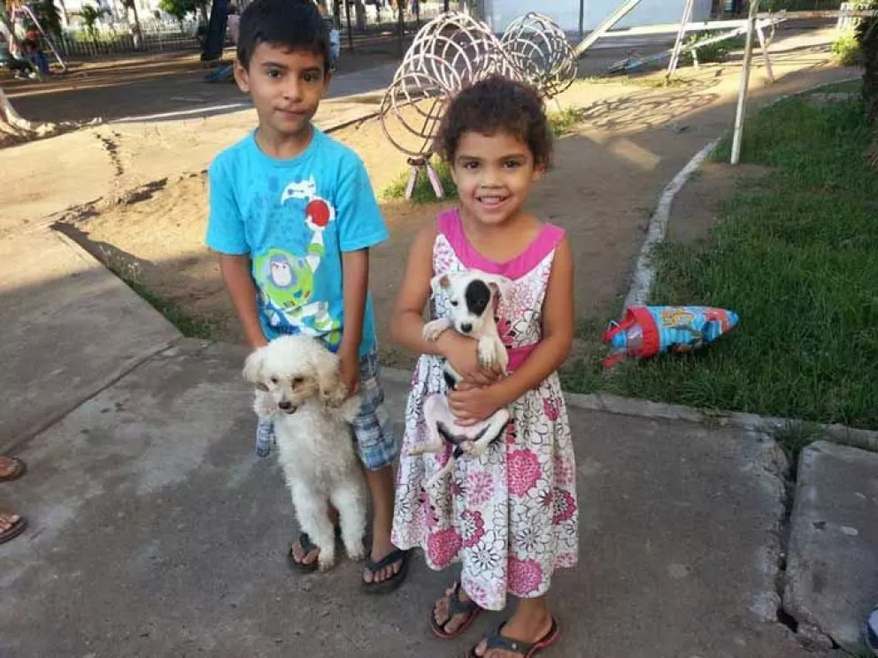 Asociación Patitas y colitas Ayuda a perros de Villa Juárez