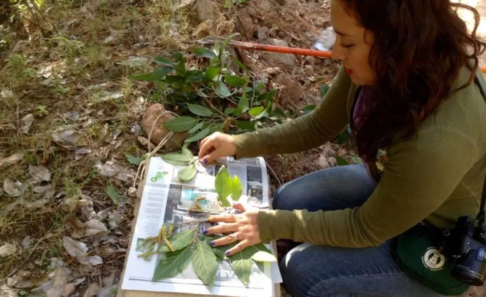 Entrevista con la directora científica de Jardín Botánico Culiacán