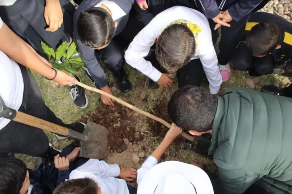 Planteles de Sinaloa se transformarán con Pulmones Escolares