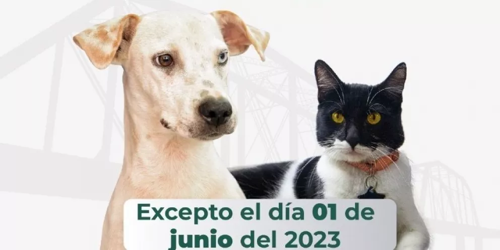 En Culiacán llega a Infonavit Solidaridad la Campaña de Esterilización para perros y gatos 