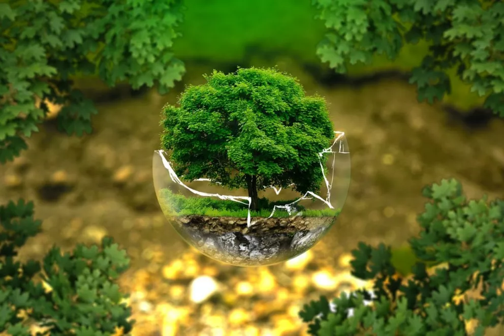 El Día Mundial del Medio Ambiente se celebra el 5 de junio. Foto: Pixabay