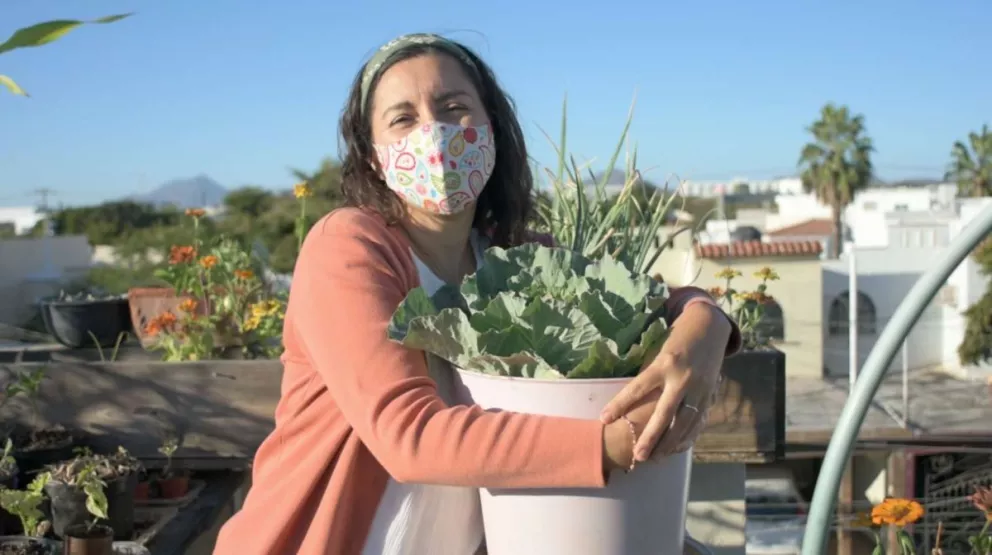Nidia Mónica creó un huerto urbano de azotea en Culiacán