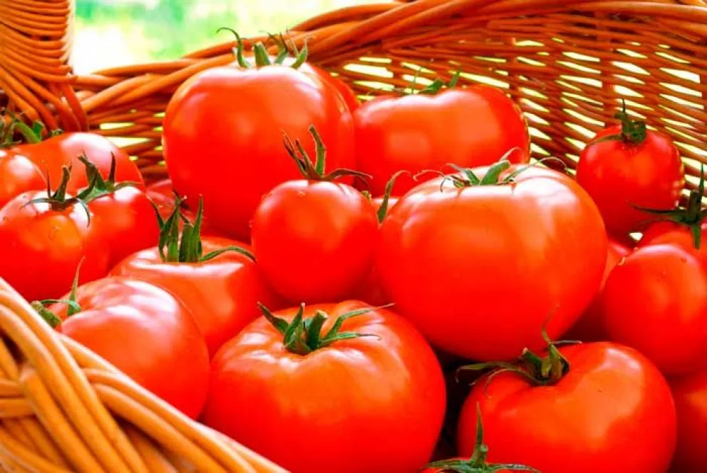 5 recetas con tomate para deleite y rápidas