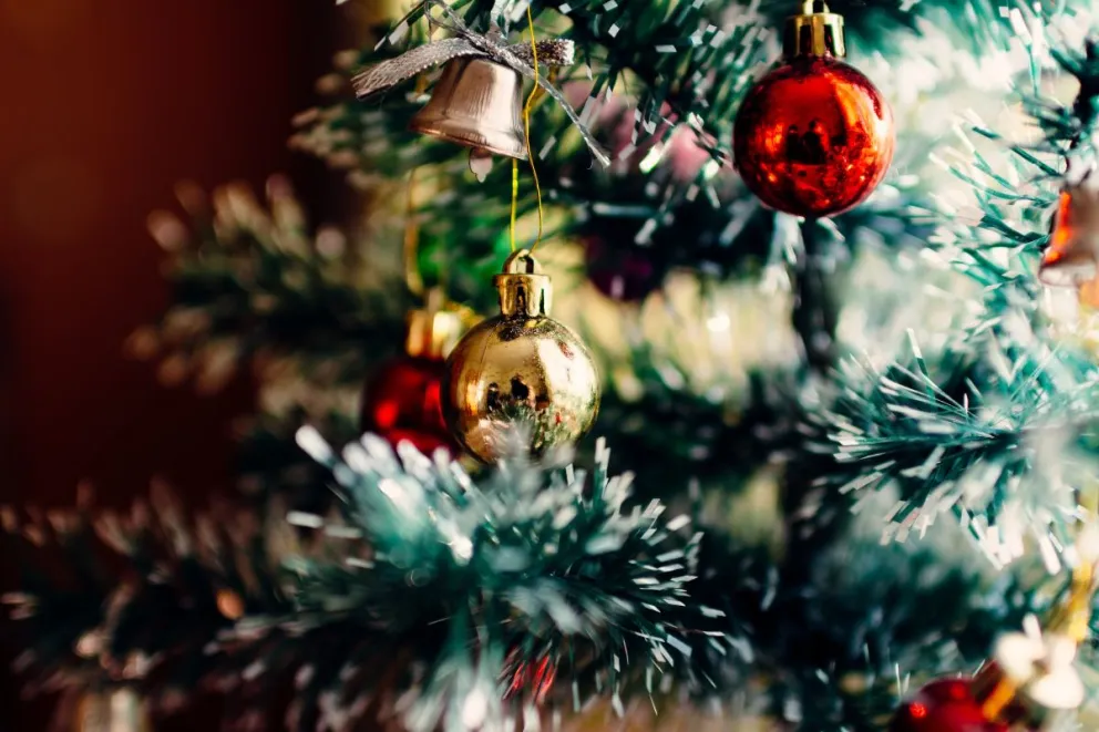 Los villancicos son parte importante de la Navidad en todas partes del mundo, habiendo composiciones tanto en inglés, alemán, francés, portugués, italiano y español. 