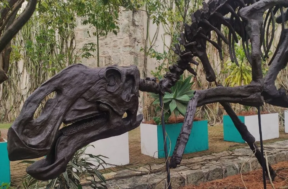 Llega a Oaxaca el “Sabinosaurio”, uno de los más grandes hadrosaurios.