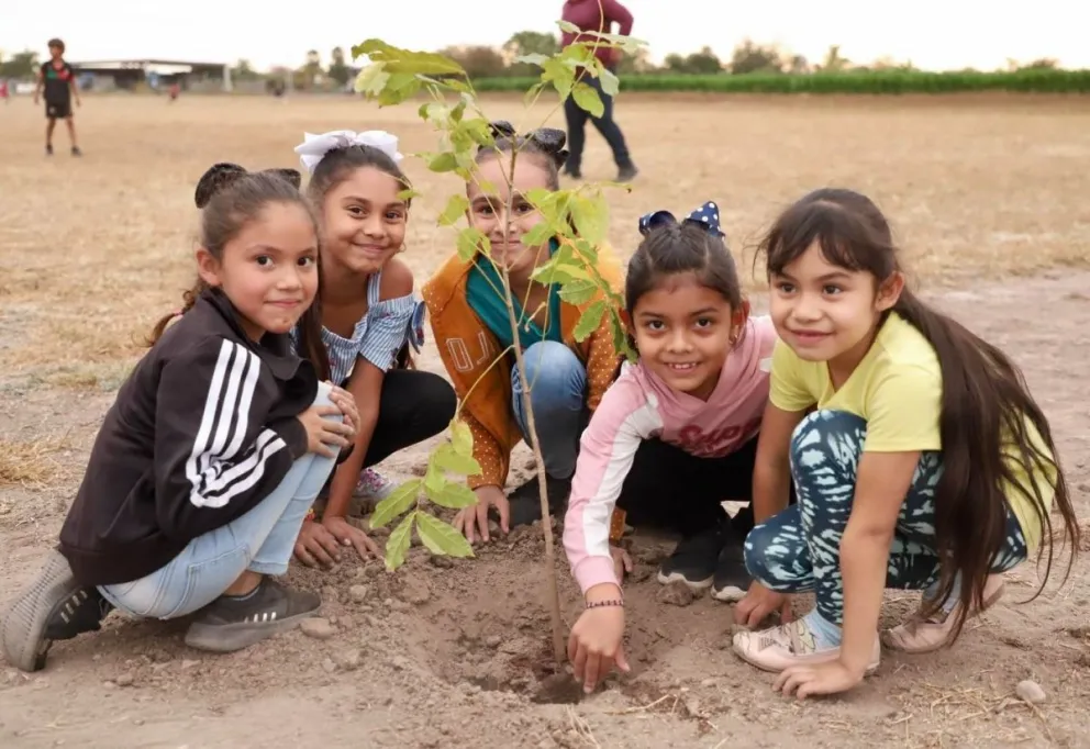 Los niños y niñas muy felices participan en la plantación de árboles en pro del cuidado del medio ambiente en Elota.
