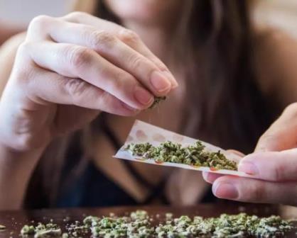 Conoce los beneficios y riesgos de la legalización del Cannabis