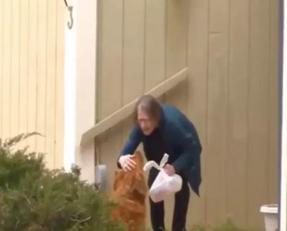 "Sundance" el perrito Golden Retriever  que entrega comida a personas mayores en cuarentena