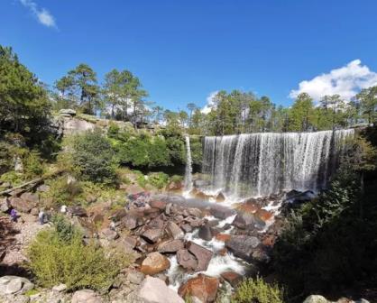 Mexiquillo Durango, el paraíso verde entre bosques y cascadas