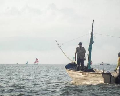 La Esperanza se Renueva: Inicio de la Pesca del Camarón en la Bahía de Altata