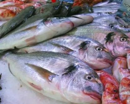 ¿Consumirás pescados y mariscos? Estos son los precios para Cuaresma