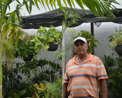 Jorge es un apasionado de las plantas, con un vivero encontró sustento en el bulevar Agricultores en Culiacán